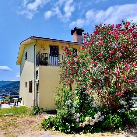 Melita Guesthouse Braga Dış mekan fotoğraf